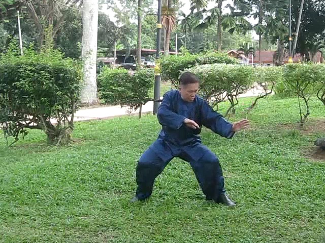 Wu Yu Xiang Style Taijiquan